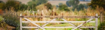 Agricultural field with wooden gate