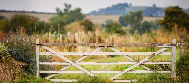 Agricultural field with wooden gate
